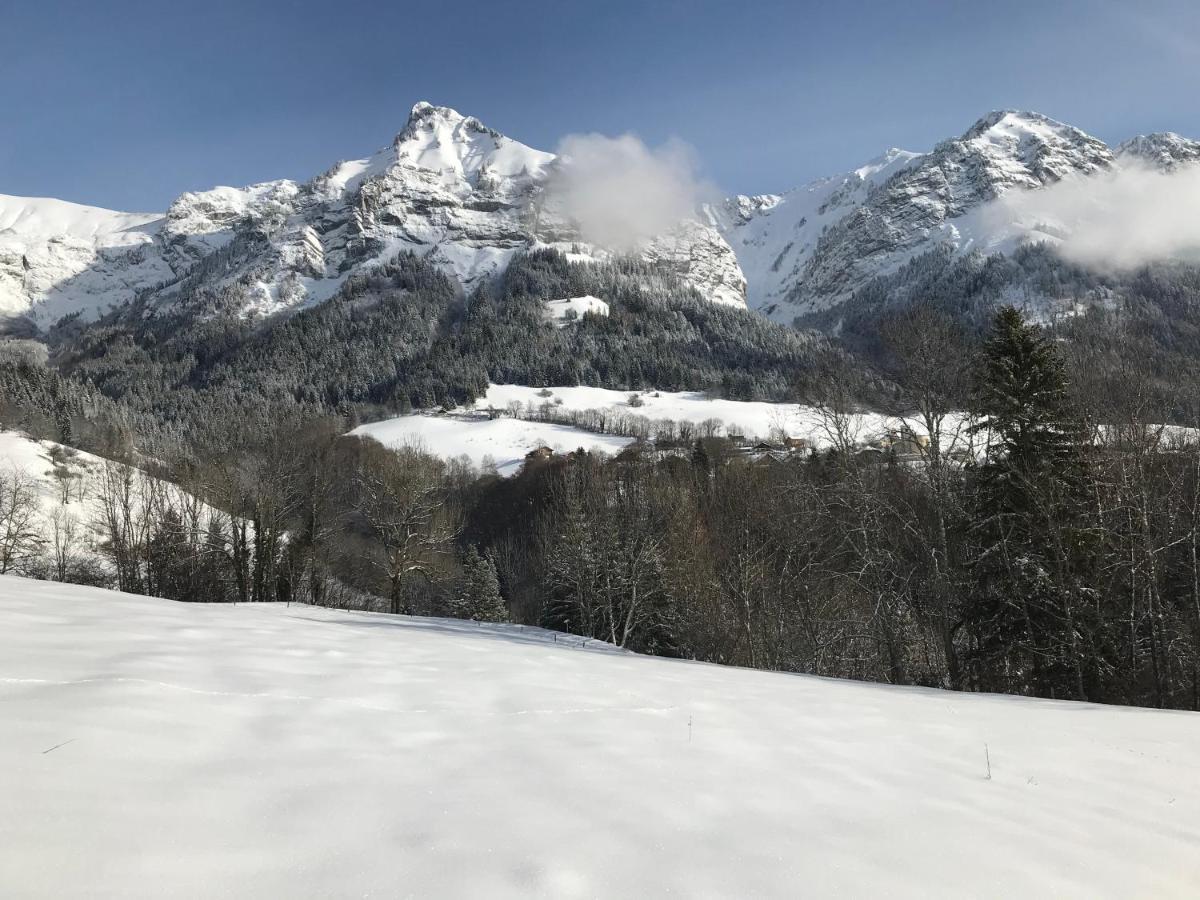 Superbe T3 Neuf En Bord De Riviere Pres D'annecy Avec Et Sauna Montmin